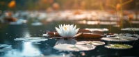 Thế Nào Là Tỉnh Thức